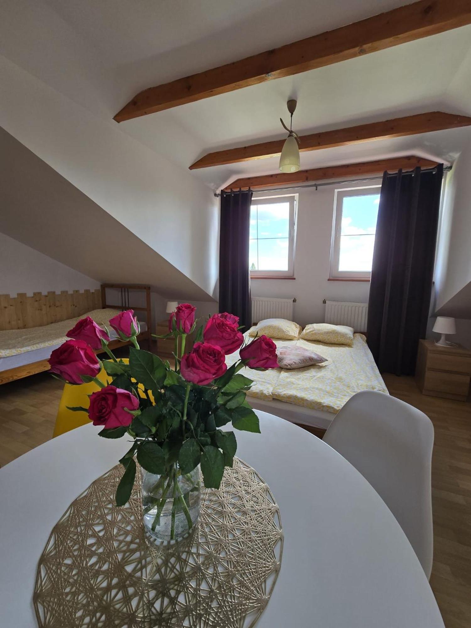 Villa Mango Wladyslawowo Chlapowo Dış mekan fotoğraf